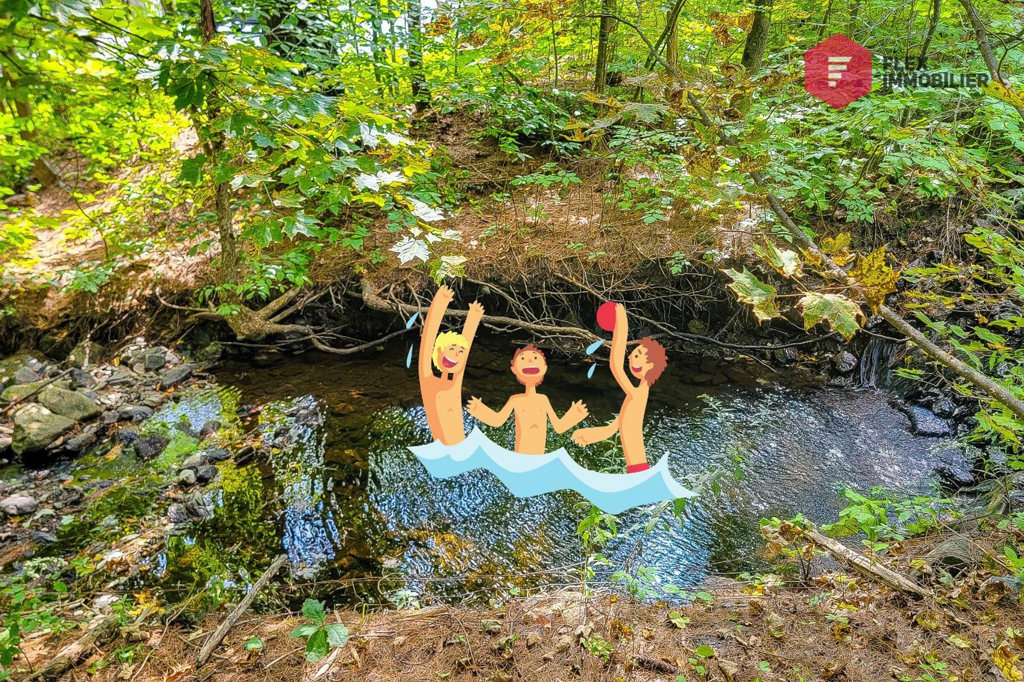 L'Arbre De La Montagne Orford - Ski Hiking Bicking Golf Beaches Magog Dış mekan fotoğraf